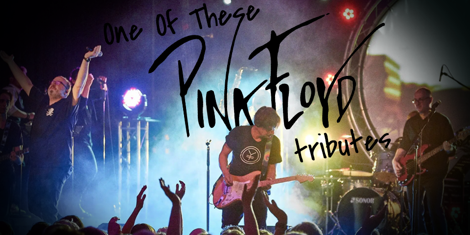 One Of These Pink Floyd Tributes One Of These Pink Floyd Tributes